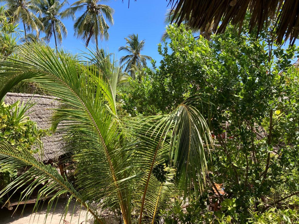 Mount Zion Lodge Michamvi 外观 照片