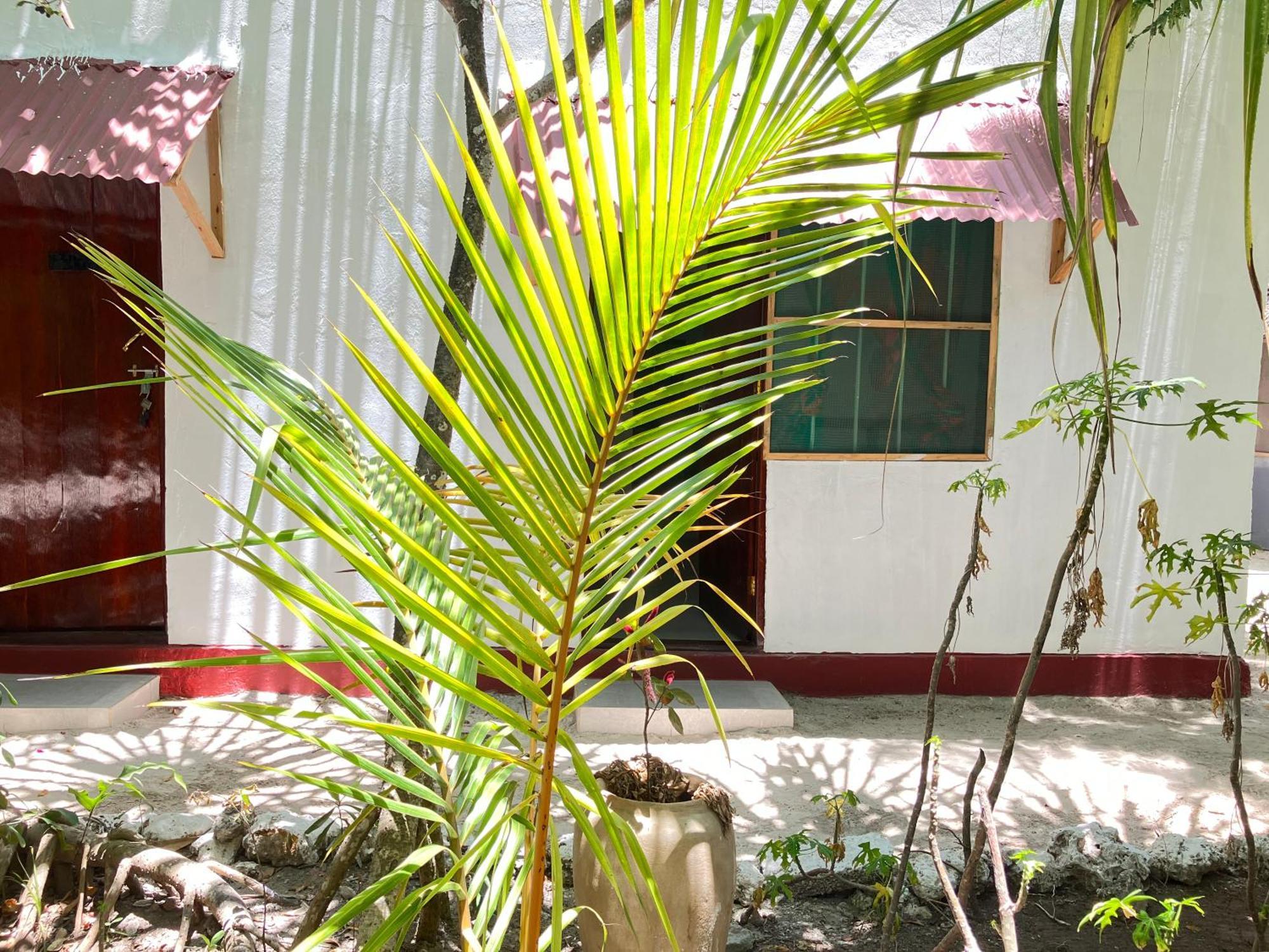 Mount Zion Lodge Michamvi 客房 照片